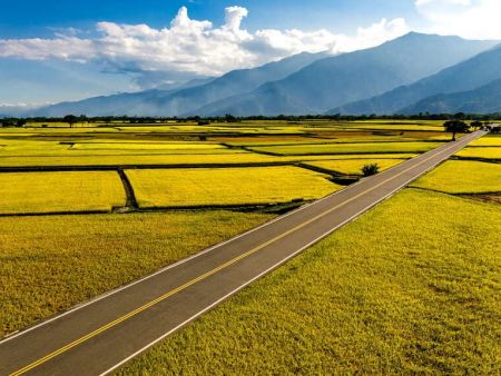 【方儉專欄】誠信是ESG不可動搖的基礎！照顧員工從吃好米開始